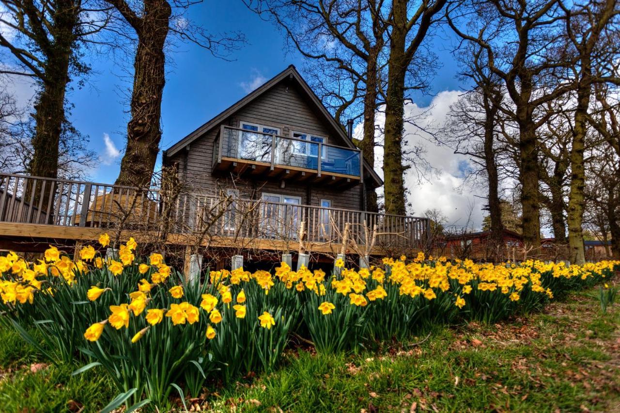Ilodge Ultra Louth  Exterior photo